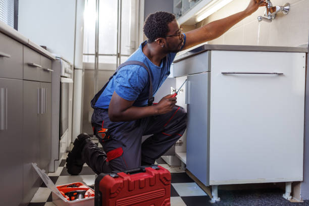 Best Plumbing Services Near Me  in Wheeling, IL
